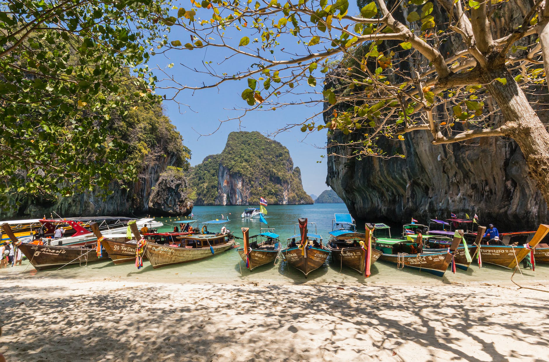 boats on seashore